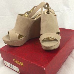 Carlos Santana Wedges